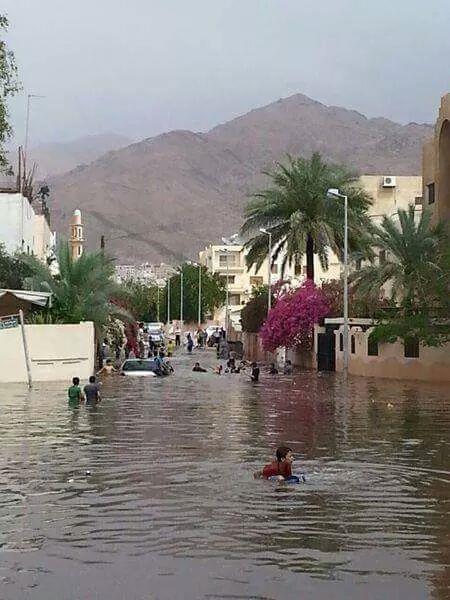 بحر العقبة يلجأ الى المدينة هربا