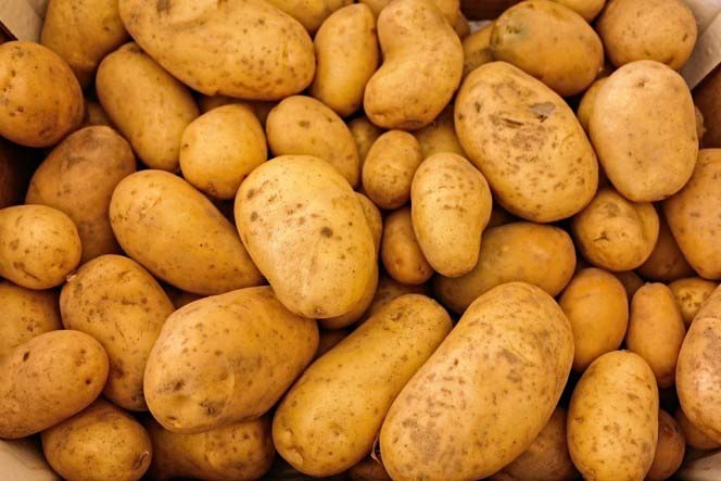 مادبا.. ضبط كميات جديدة من البطاطا