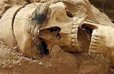العثور على جمجمتين في مطبخ القصر