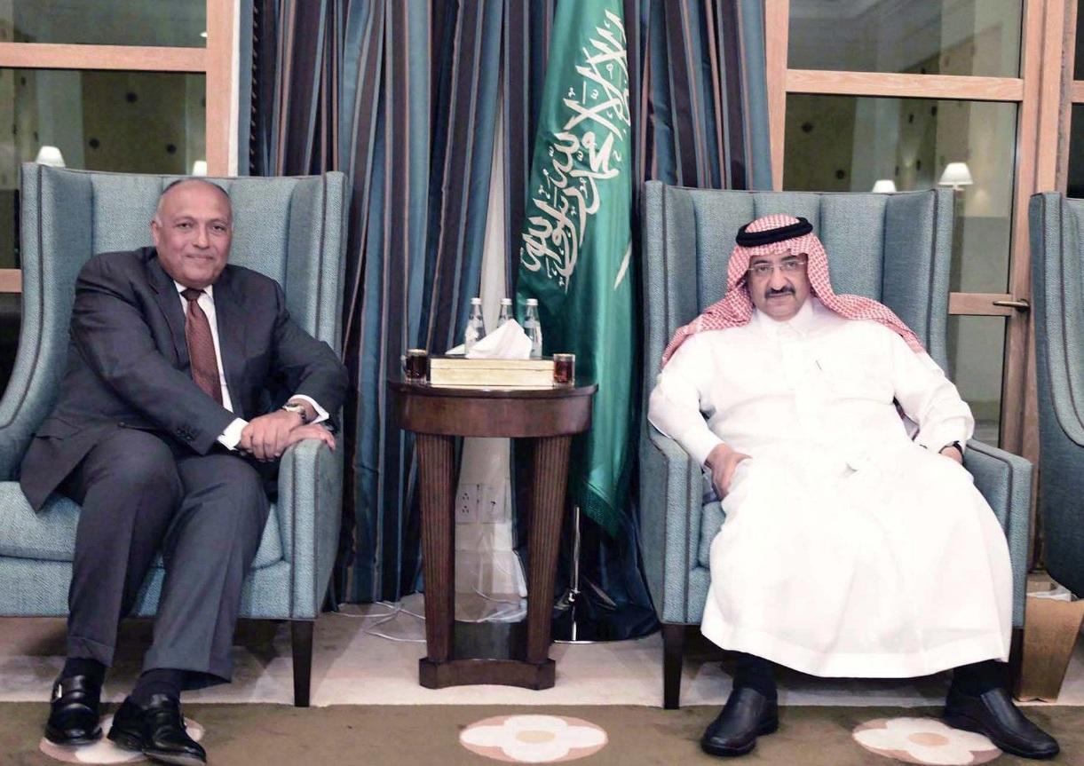 هل حقا جاء شكري الى الرياض