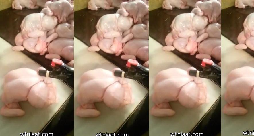 بالفيديو: حقن الدجاج بسائل مجهول قبل