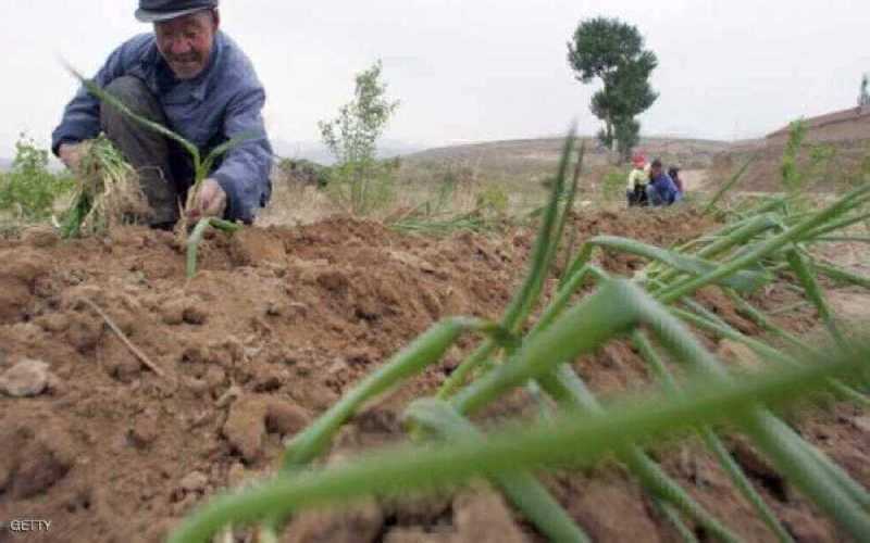 quotفئران الجفافquot تكبد الصين خسائر فادحة