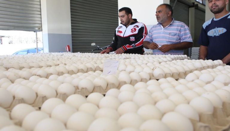 الطقس يسخن أسعار (البيض )