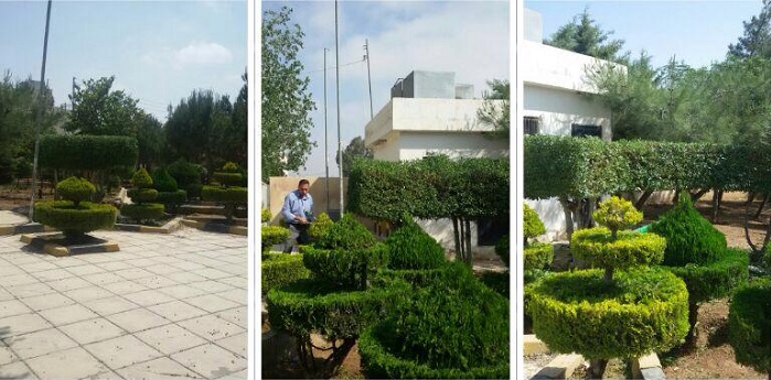 الأمانة تعيد تأهيل حديقة الأسرة باليادودة