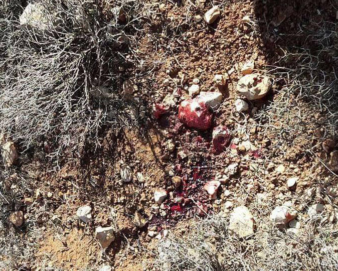 استشهاد شاب فلسطيني برصاص مستوطنين جنوب