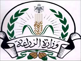 اعتصام يطالب بوقف العروض المباشرة على