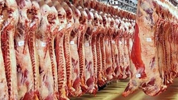العقرباوي: 70% من الذبائح تذبح خارج