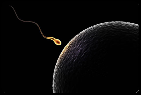 حيوانات منوية اصطناعية تبشر بعلاج العقم