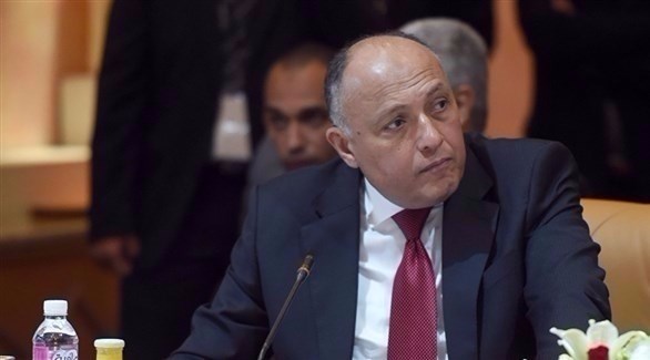 اجتماع ثلاثي لوزراء خارجية مصر والجزائر