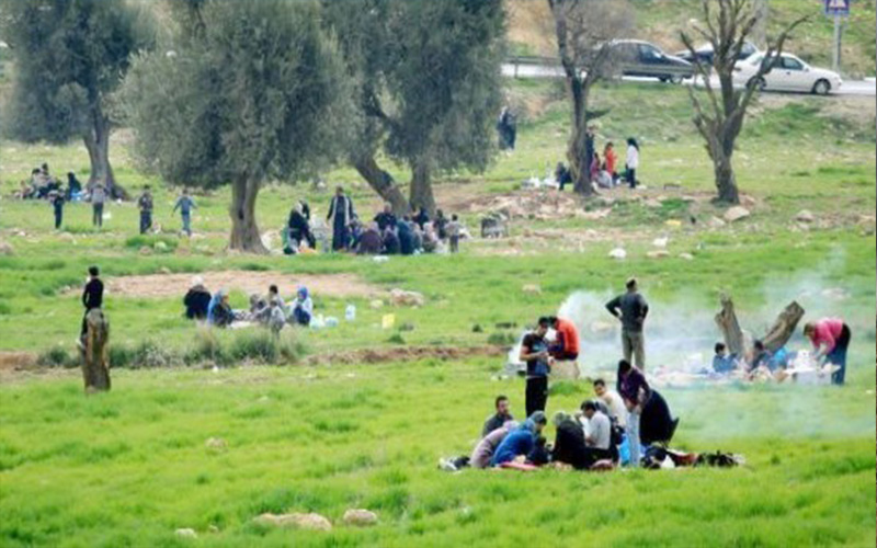 الجمعة .. أجواء مشمسة و ربيعية