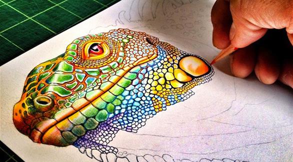 بالصور: خطوات لرسم زواحف ملونة غنية