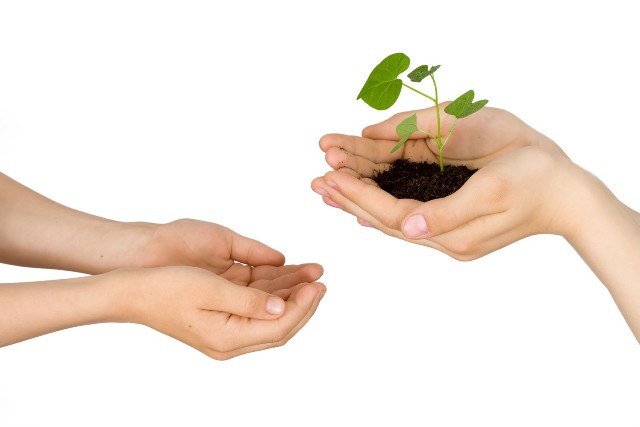 الأخطاء القاتلة للمشاريع الناشئة