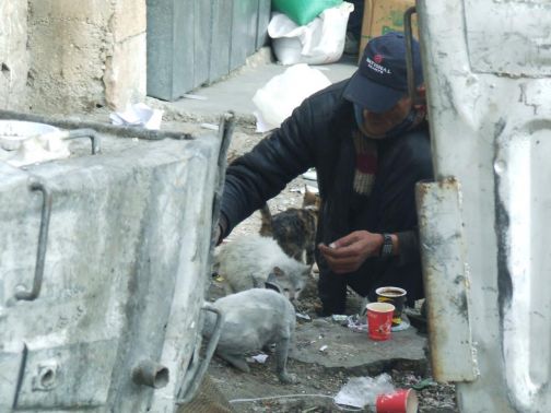 الحكومة تحولك إلى مدين بثلاثة آلاف