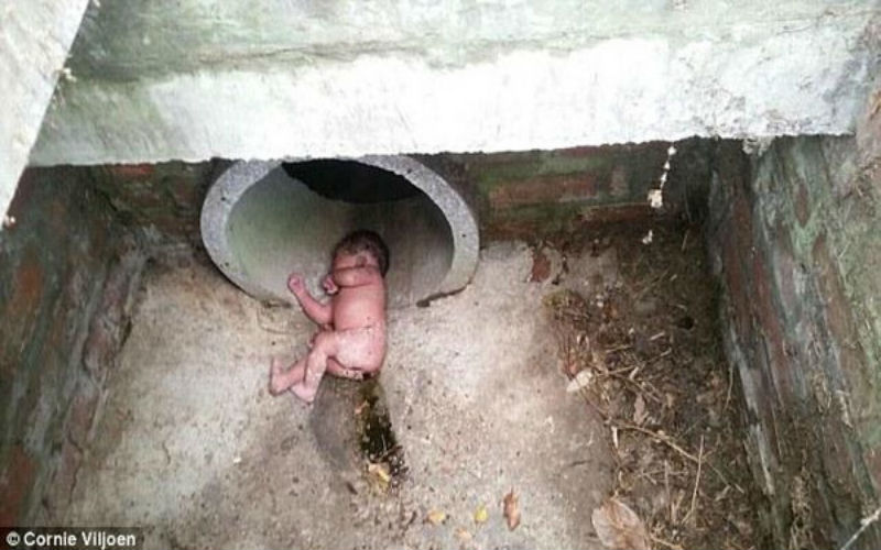 نجت بمعجزة من الموت .. رضيعة