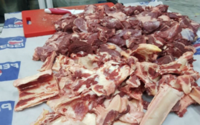 الكرك: إتلاف 250 كغم لحوم فاسدة