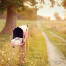 فوضى الأوراق (نثر فني) بقلم أماني