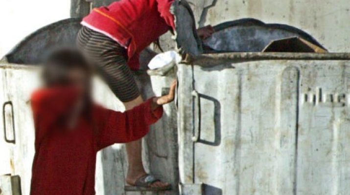 نبش الحاويات من بضع عشرات الى