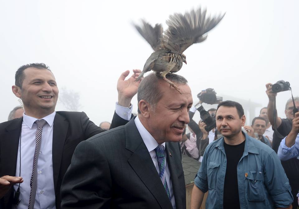 إشارة تفاؤل تلقاها اردوغان عندما خرج