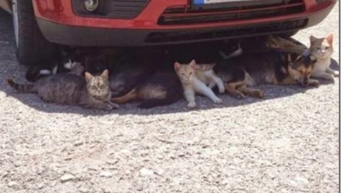 موجة الطقس الحار في الشرق الأوسط