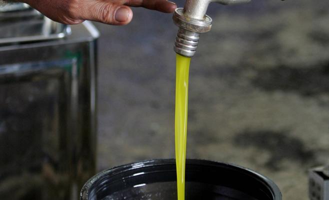 إتلاف 617 تنكة زيت زيتون مغشوش