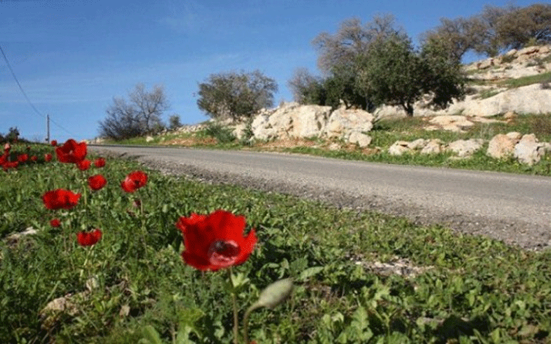 ارتفاع الحرارة اليوم وانخفاضها غدا