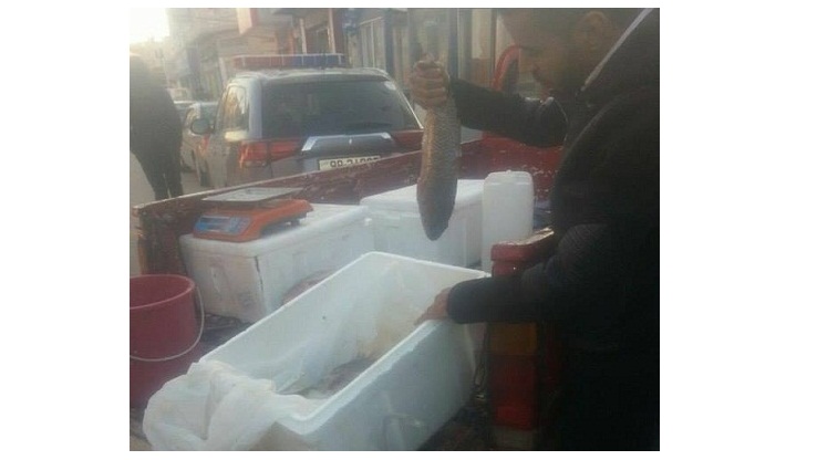 بالصور: حملة على 39البكبات39 التي تعمل