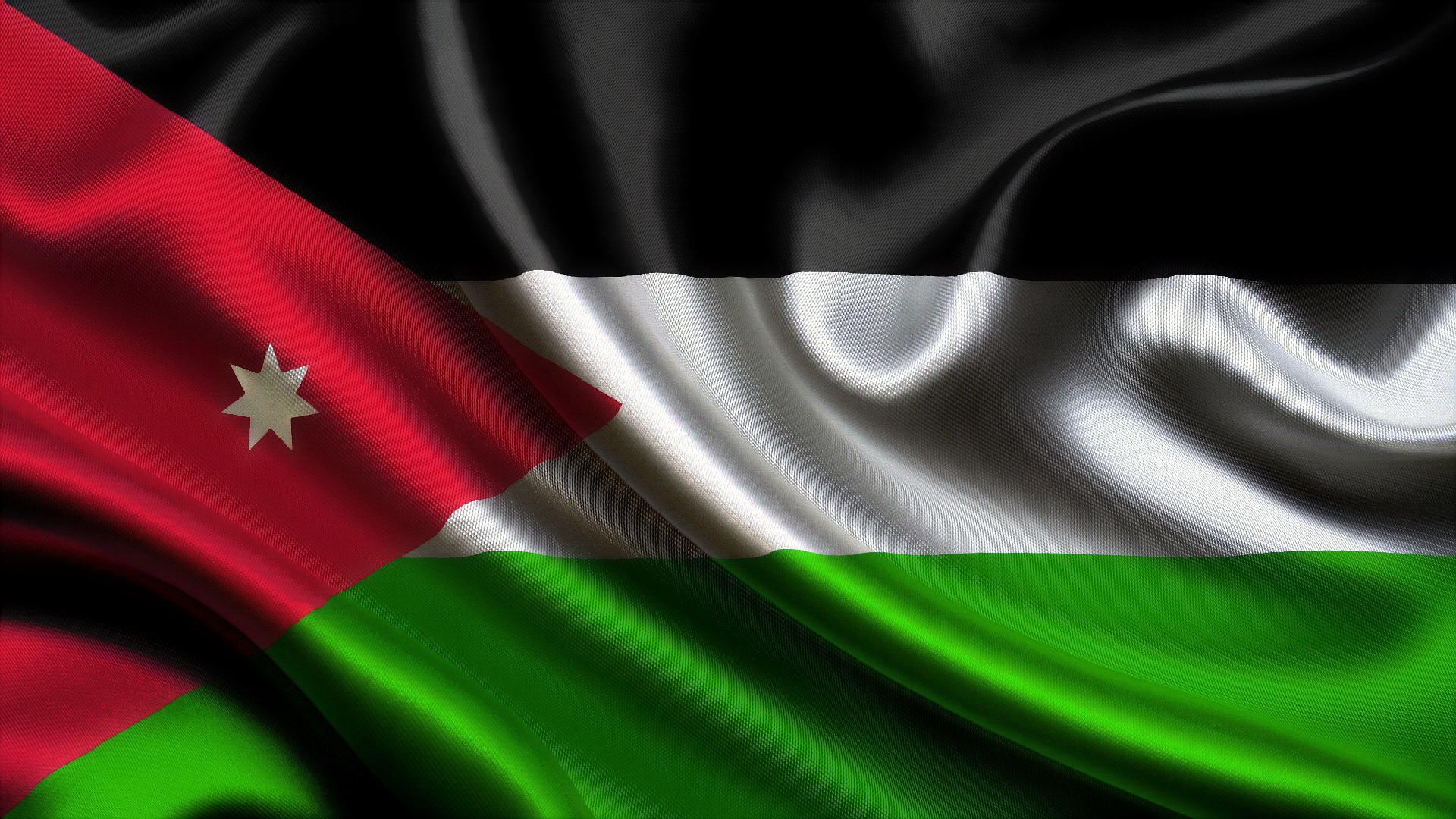 نائب رئيس الوزراء يلتقي وزير خارجية