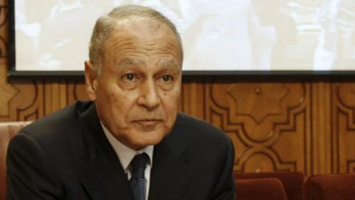 أبو الغيط: قمة البحر الميت هي