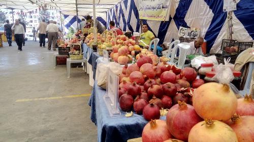 إعفاء السيدات الريفيات من رسوم الاشتراك