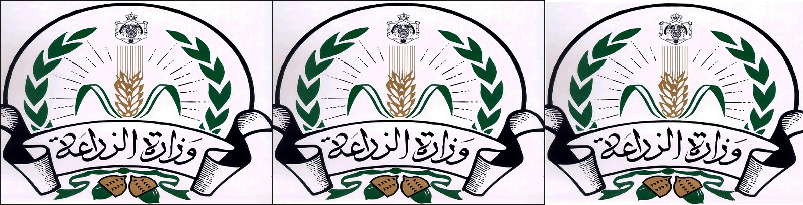 الزراعة توقع موظفيها المجازين بلا راتب