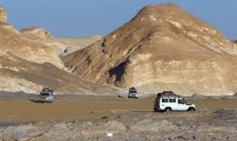 مصر تنفذ سياسة إطلاق النار أولا