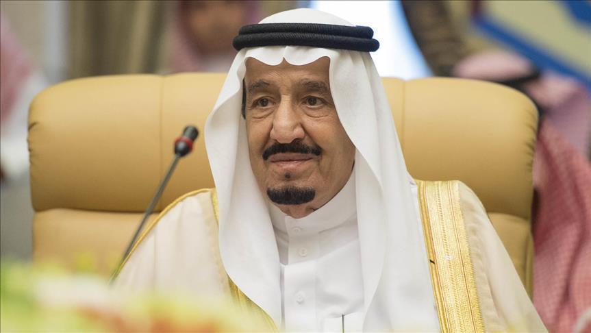 العاهل السعودي يبحث مع الزياني تعزيز