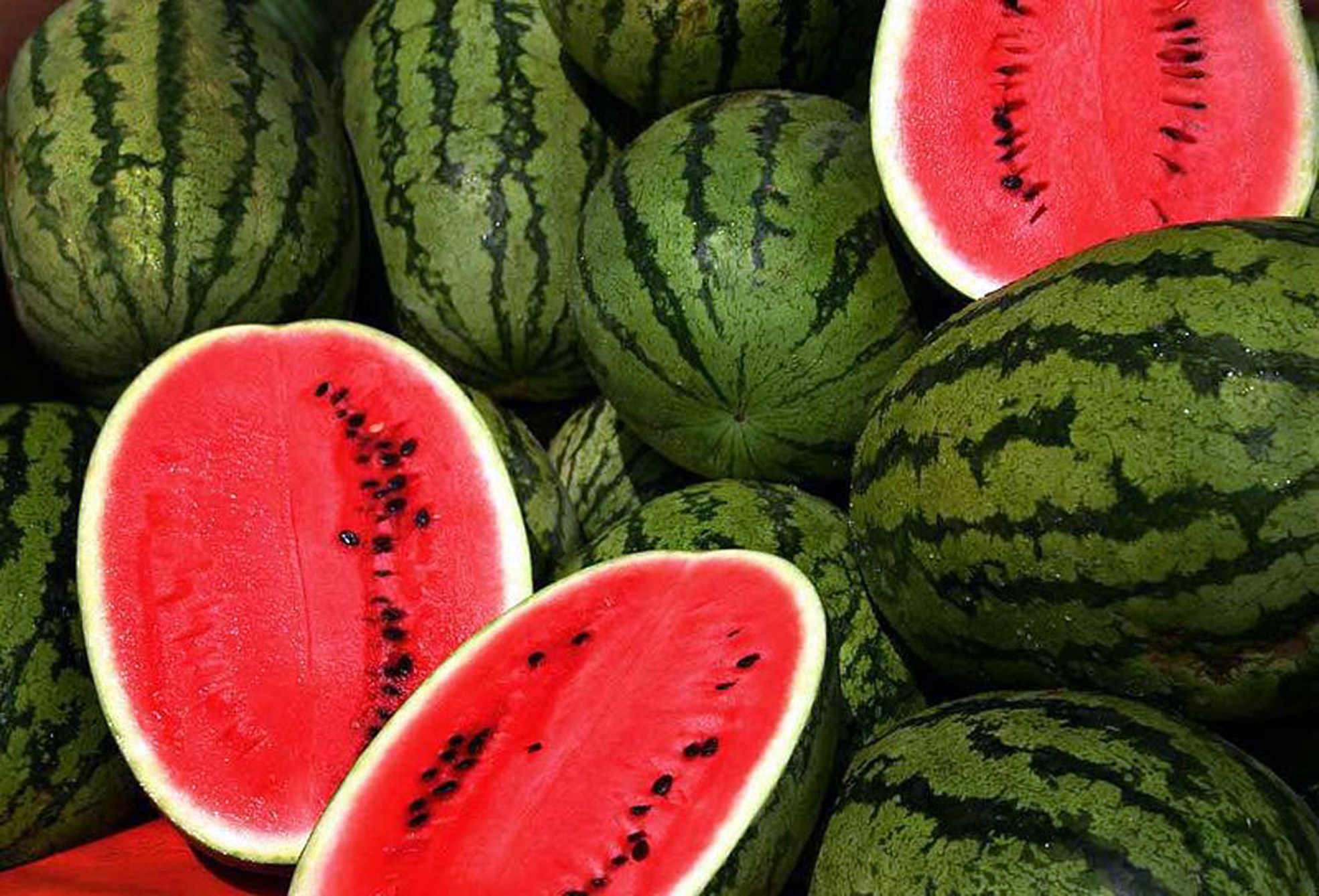 60 دينارا ثمن «بطيخة» بأحد مطاعم