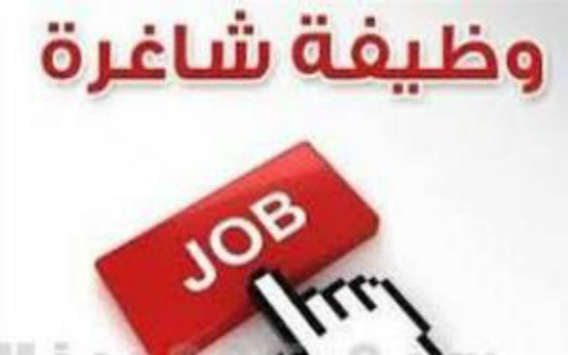 وظائف شاغرة في العديد من التخصصات