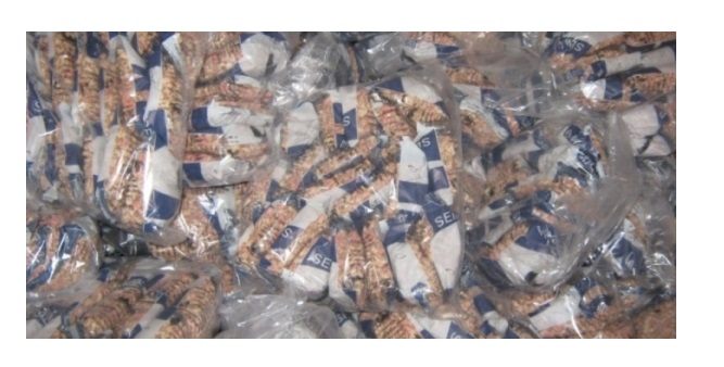 ضبط نصف مليون حبة خرز مسدسات