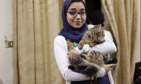 ABC: تعذيب نشطاء مصر