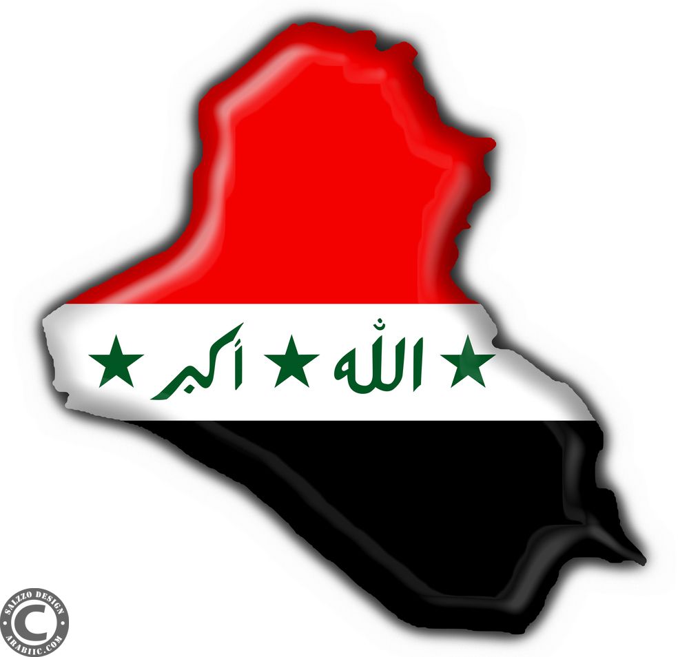 رئيس المخابرات الأميركية يرفض تحمل بلادة