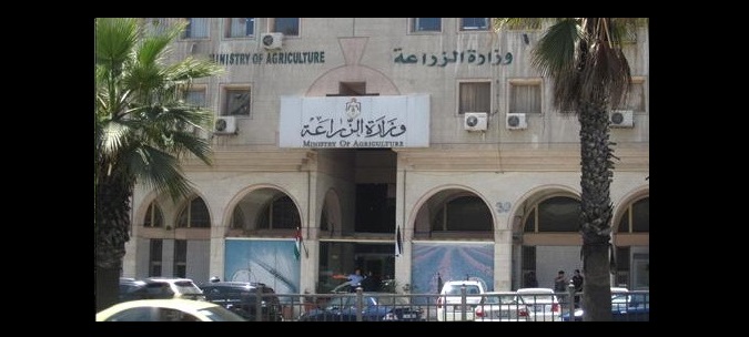 فتوى بحكم تقطيع الاشجار وبيعها للمنفعة