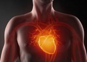 20 معلومة رائعة قد لا تعرفها