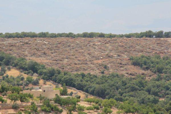 لجان ميدانية خلال عطلة العيد لمنع