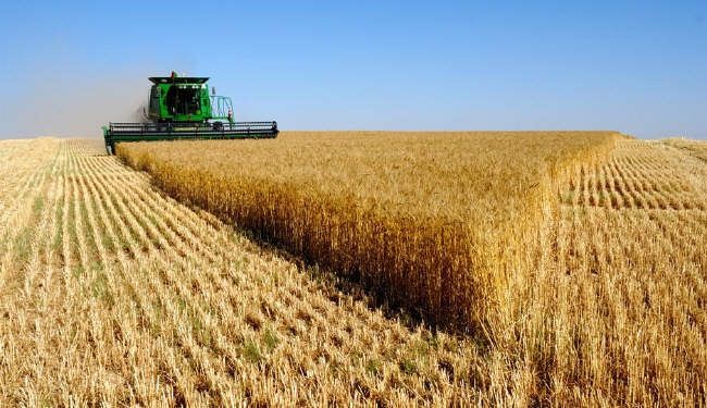 وفاة فتاة بدراسة حبوب بدير علا