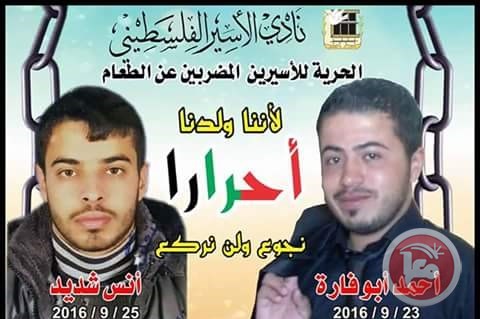 قرار حاسم في قضية الاسيرين شديد