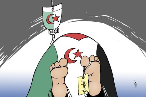 المغرب: الجزائر تحتفي بـ (استفزاز زوما)