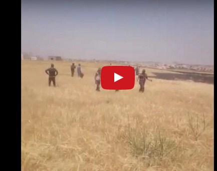 حريق يلتهم (10) دونمات قمح في