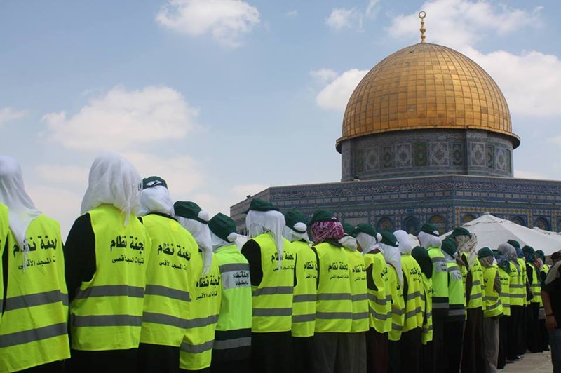 فتيات لجنة النظام.. عيون ساهرة خدمة