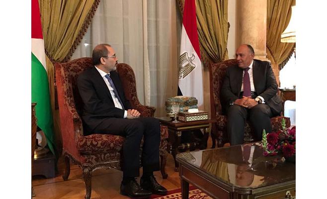 الصفدي: ضعف العمل العربي المشترك سمح