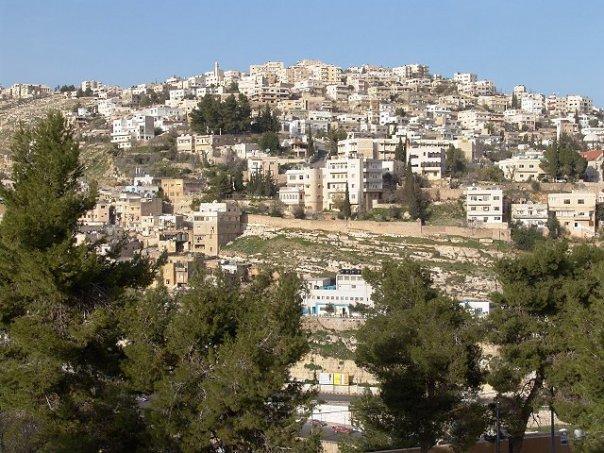 هيئة إدارية جديدة لجمعية سنابل مؤاب