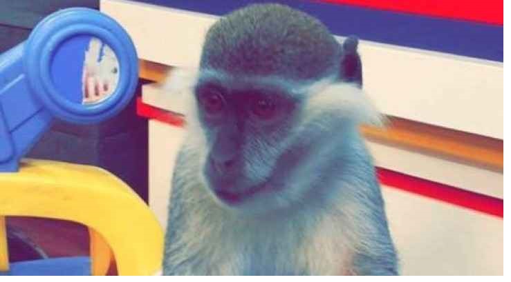بالفيديو والصور .. وفاة 39سمسم39 أحد