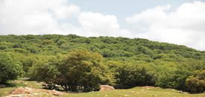 اتحاد الجمعيات البيئية يثمن دور لجنة