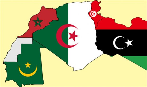أين حلت الجزائر وتونس والمغرب في